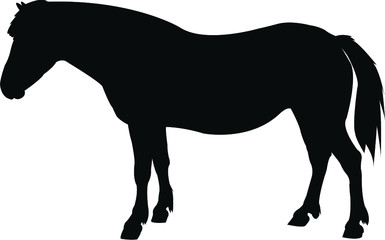 Obraz premium horse silhouette vector