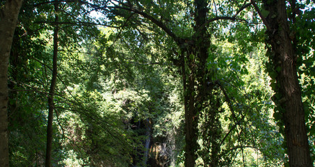 Scorcio dalla via delle cascate perdute a Sarnano