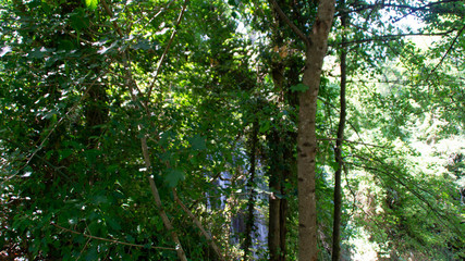 Scorcio dalla via delle cascate perdute a Sarnano