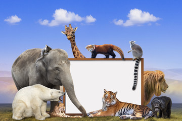 Group of wild animals photo frame