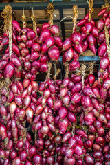 Italy, area Calabria, Red onion of Tropea (Cipolla rossa)