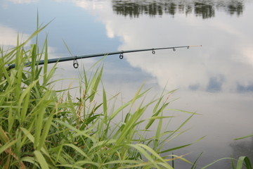 fisherman with a fishing rod catches fish