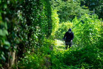 草刈りをする男性