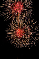 Obraz premium Colorful fireworks in black background