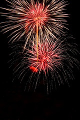 Fototapeta premium Colorful fireworks in black background