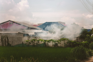 Officers went to the area to spray fog to prevent dengue fever.