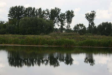 picturesque summer lake in the village