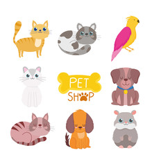 pet shop, cute animals cat dog bird rodent veterinary clinic food