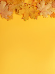 Naklejka na ściany i meble autumn composition with yellow leaves. autumn mood