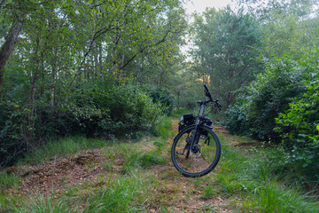 Fototapeta na wymiar a bike ride in a natural moor on a summer morning