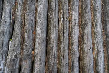 some wooden backgrounds  with patterns from nature