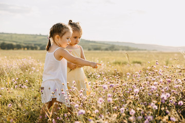 Fototapeta na wymiar Two girls in an open field on a summer day picking flowers.