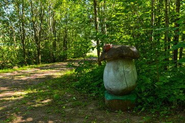 Fototapeta premium wood mushroom and beetle in the forest
