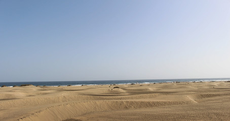 Sand dunes in Maspalomas, Gran Canaria. 