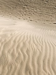 Sand dunes in Maspalomas, Gran Canaria. 
