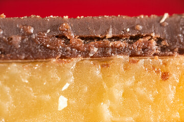 Detailed closeup macro photo Chocolate and Caramel Slice