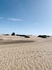 Sand dunes in Maspalomas, Gran Canaria. 