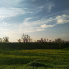green field and blue sky