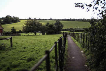 fence in the countryside of europe