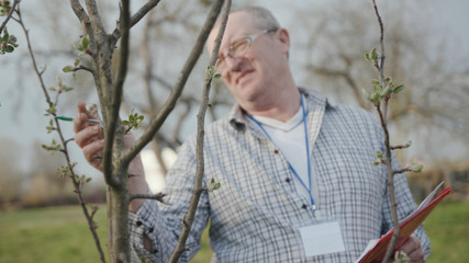 Close up face young man with glasses check tree write in nature garden green meadow park adult agriculture garden male worker casual one person portrait