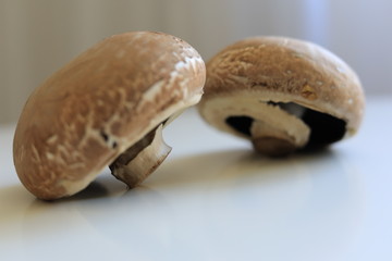 Healthy Muschrooms fresh from the market © Delphine