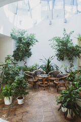 Wicker rattan furniture surrounded by green plants in a spacious hall