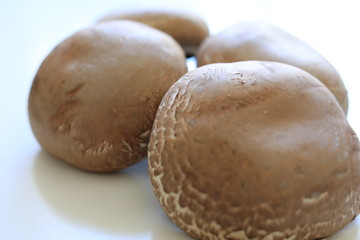 Healthy Muschrooms fresh from the market