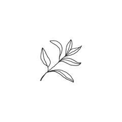 Vector hand drawn floral icon. A branch with leaves.