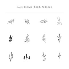 Hand drawn flowers and leaves. Set of vector floral icons.