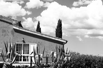 Exterior facade of country house with cypresses and clouds in the background. Black and white photo.