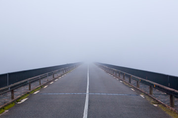 Empty foggy rural asphalt highway perspective with white line