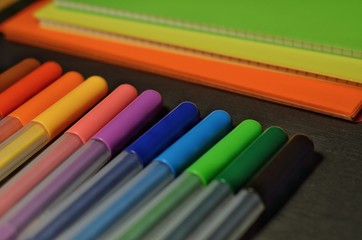 colored pencils isolated on white