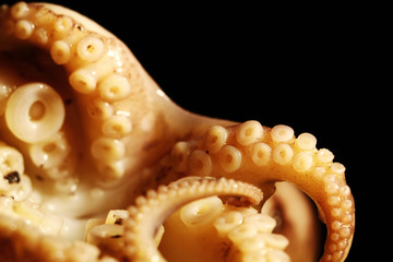 A delicious octopus prepared to be cooked in a gray bowl on a black background. Horizontal format.