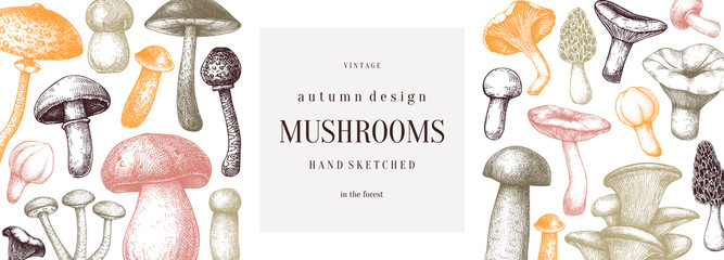 Vintage mushrooms banner. Edible mushrooms vector background. Hand drawn food drawings. Forest plants sketches.  - obrazy, fototapety, plakaty