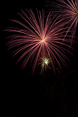 Fototapeta premium Amazing fireworks show in the dark sky
