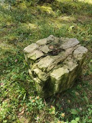 old stone in forest
