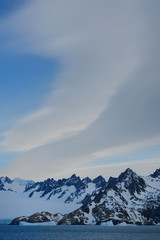 Drygalski Fjord, Floating Icebergs, South Georgia, South Georgia and the Sandwich Islands, Antarctica