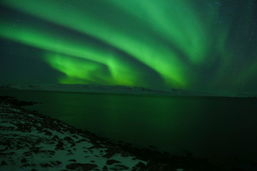 Fototapeta na wymiar Northern lights over a snowy beach in Iceland