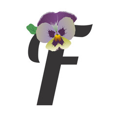 The black letter F decorated with a garden pansy flower. Violet shades and yellow-green colors. Colorful bud, green leaf. Vector illustration isolated on white background. Flat design, gradients.