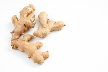 Ginger is a flowering plant whose rhizome, ginger root or ginger, is widely used as a spice and a folk medicine.