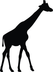giraffe silhouette vector illustration