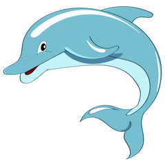 Dolphin vector illustration. Cartoon character