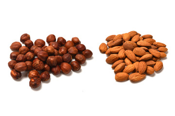 Hazelnut isolated on a white background.