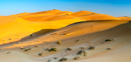 Fototapeta na wymiar Sand wave in Liwa Desert