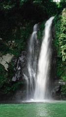 Fototapeta premium 癒し