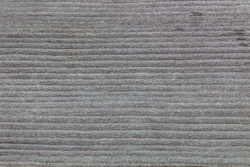 Pine tree wooden abstract texture