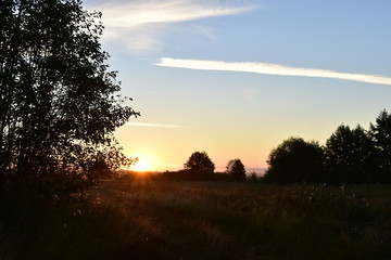 sunrise in the field