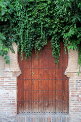 Arab door full of vegetation of an old house