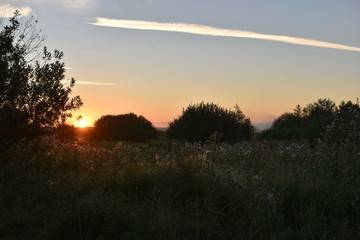 sunset over the field