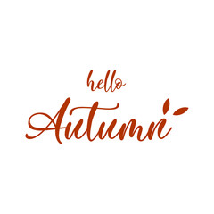 Hello Autumn lettering logo on white background, vector illustration.